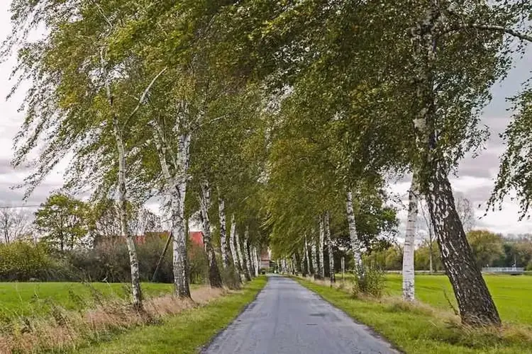 Senden Westfalen